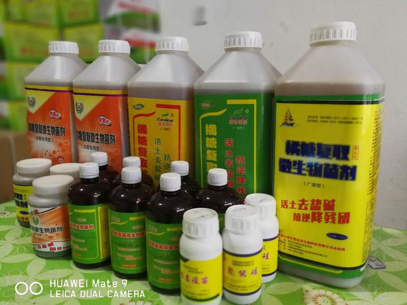 橘糖复取微生物菌剂