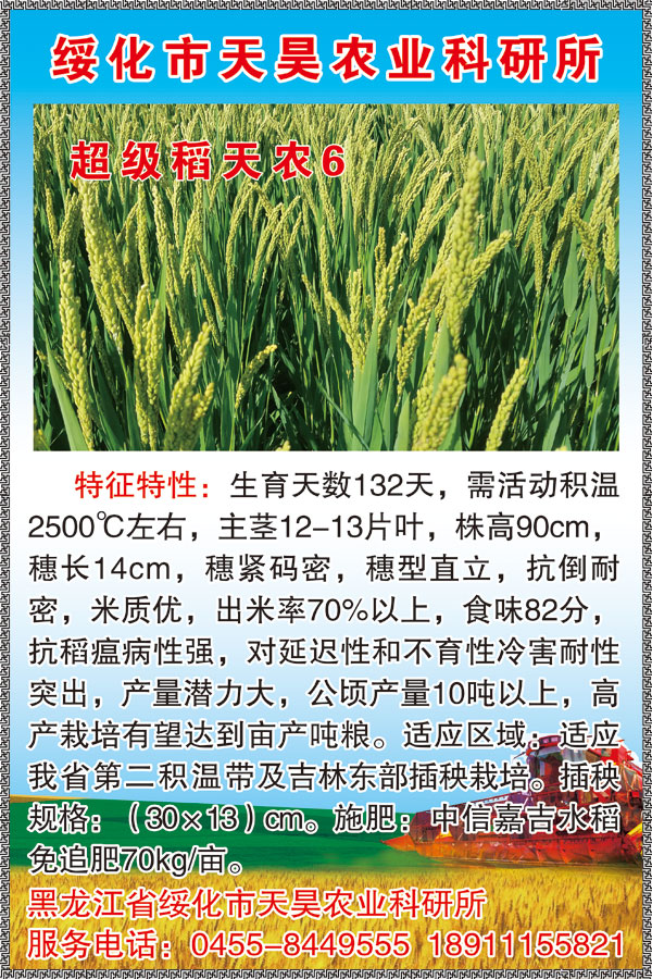 天农6-详情.jpg