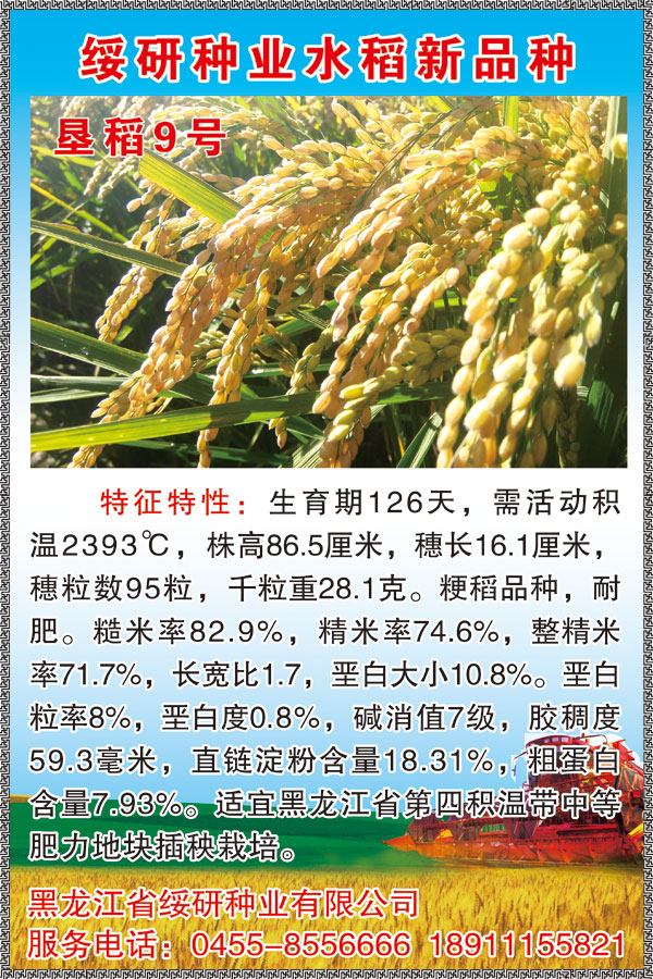 恳稻9号-详情.jpg