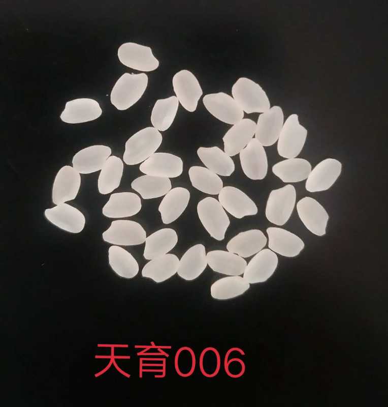 天育006.jpg